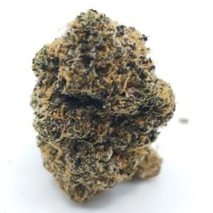 apple fritter strain