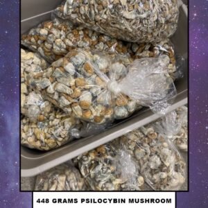 psilocybin mushroom