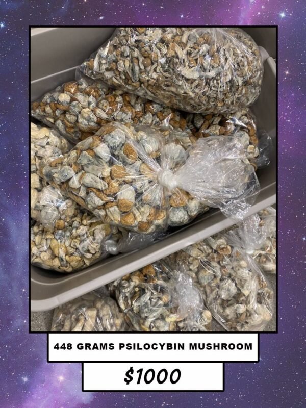 psilocybin mushroom