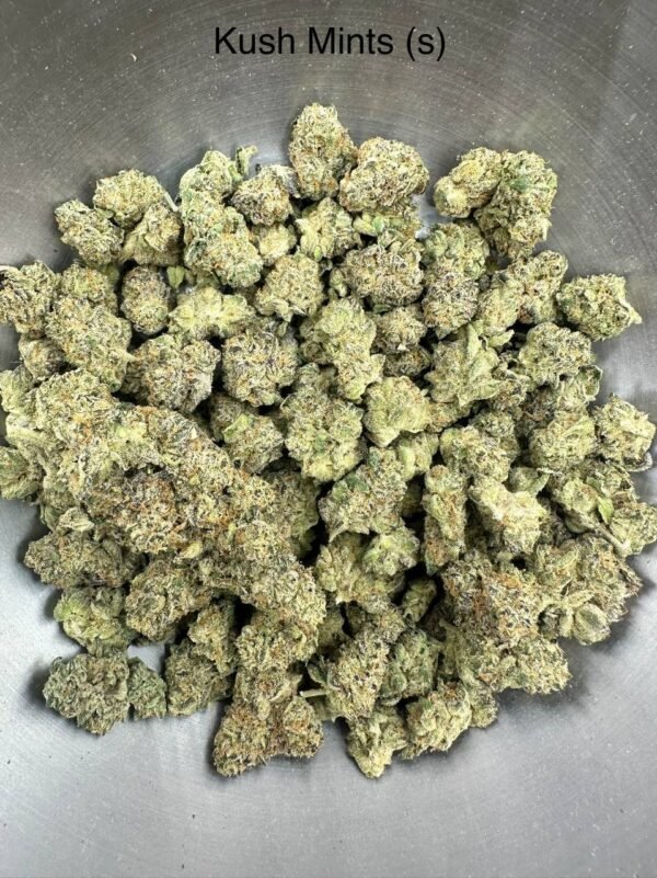 kush mints strain