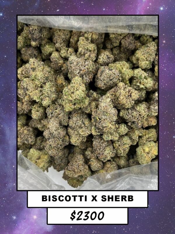 BISCOTTI X SHERB